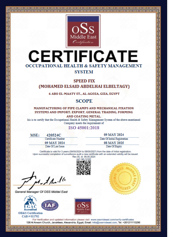 Screenshot 2024-07-09 at 14-15-34 SPEED FIX 9001 14001 45001.pdf